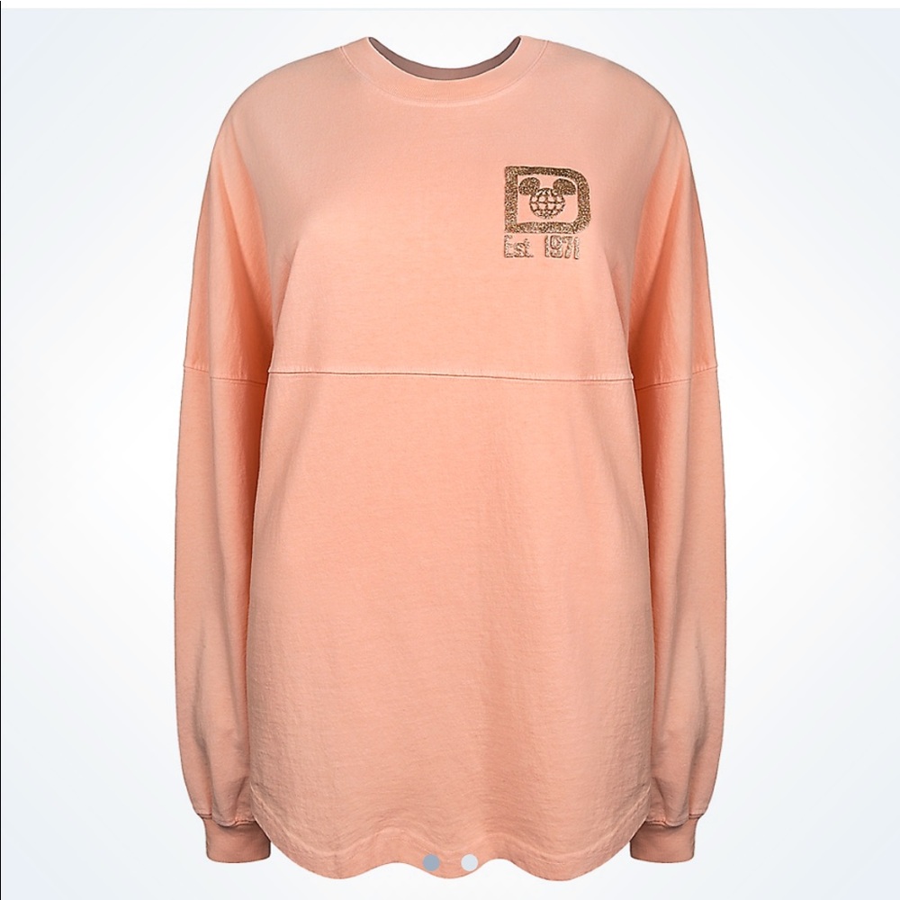 Disney Spirit Jersey